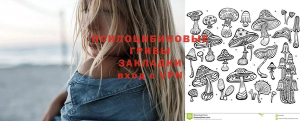 прущие крисы Алексин