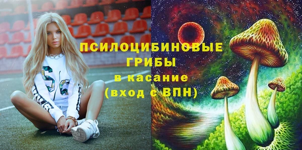СК Алзамай