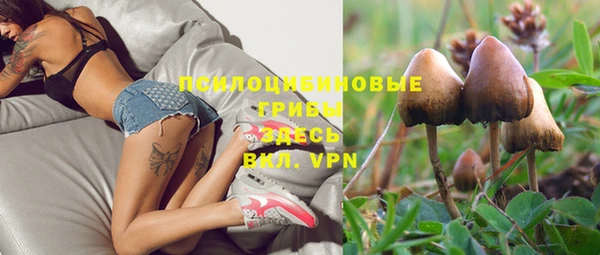 прущая мука Абаза